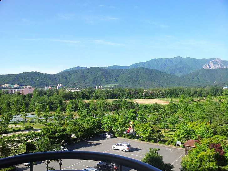 皇家艺术学院与英国开放大学谁强？