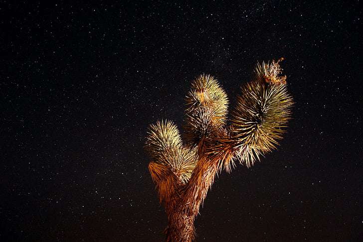 英国萨默塞特艺术与工艺学院读研留学申请难度