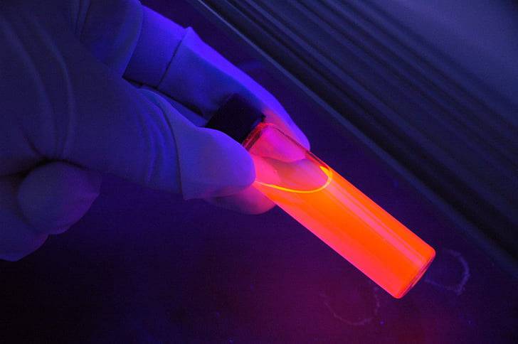 贝尔法斯特都市学院PK大学海洋生物站，米尔港谁好？