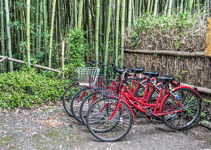 切尔姆斯福德学院和爱丁堡特尔福德学院谁值得上？