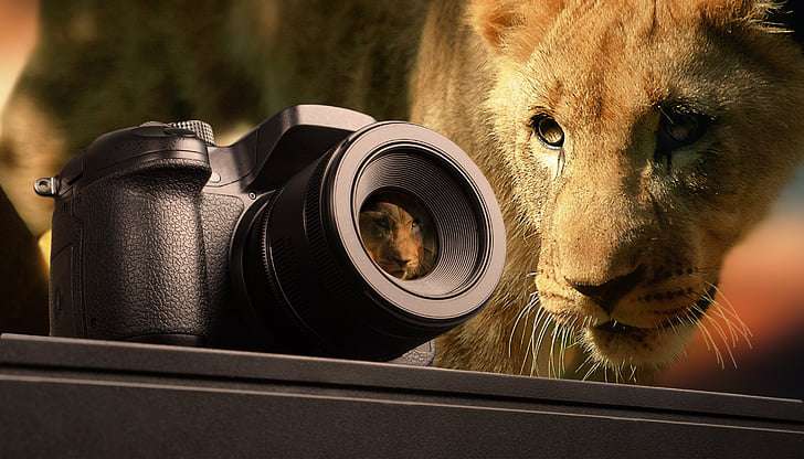 英国牛津大学读研留学申请难度