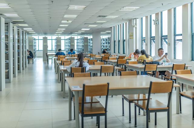 麦吉尔大学加拿大本国排名是多少