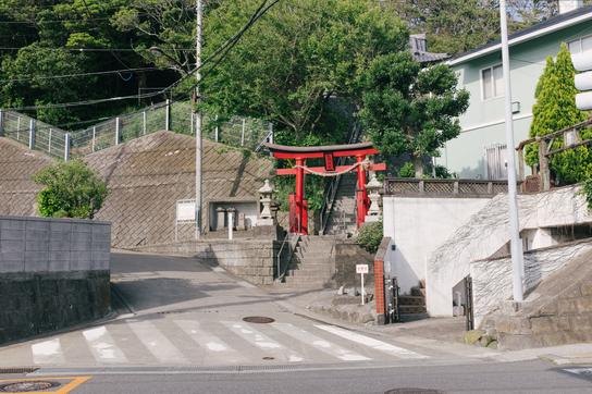 特尔谢同学会犹太高等学校(利弗代尔)学费大盘点