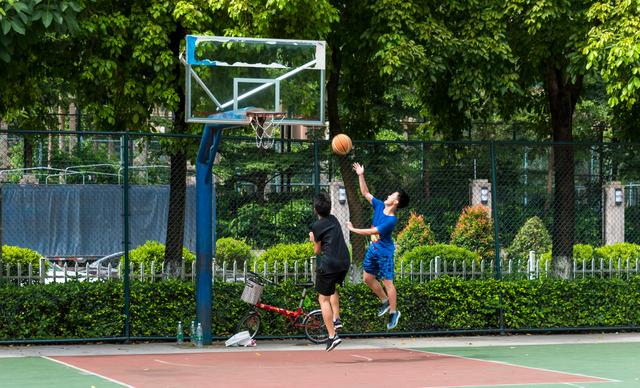 安特卫普大学世界排名第几