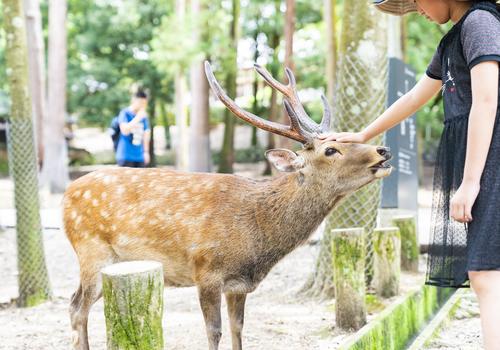 香港大学图书馆和信息管理专业情况及申请条件